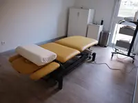Fisioterapia Pisu