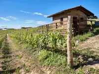 Vinum Verum GmbH - Klicken Sie, um das Bild 1 in einer Lightbox vergrössert darzustellen