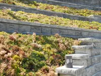 Art & Giardini Sagl