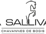 Manège de la Sallivaz & Poney club