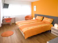 Hôtel du Parc Sàrl