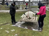 4happypets.ch, Inhaberin Schön