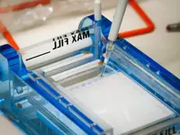 LDM Laboratorio di Diagnostica Molecolare