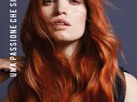 Beauty Shop hair design