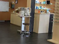 Salgina Optik GmbH