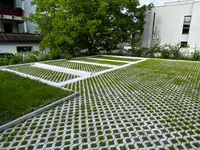 Eichenberger Gartenbau