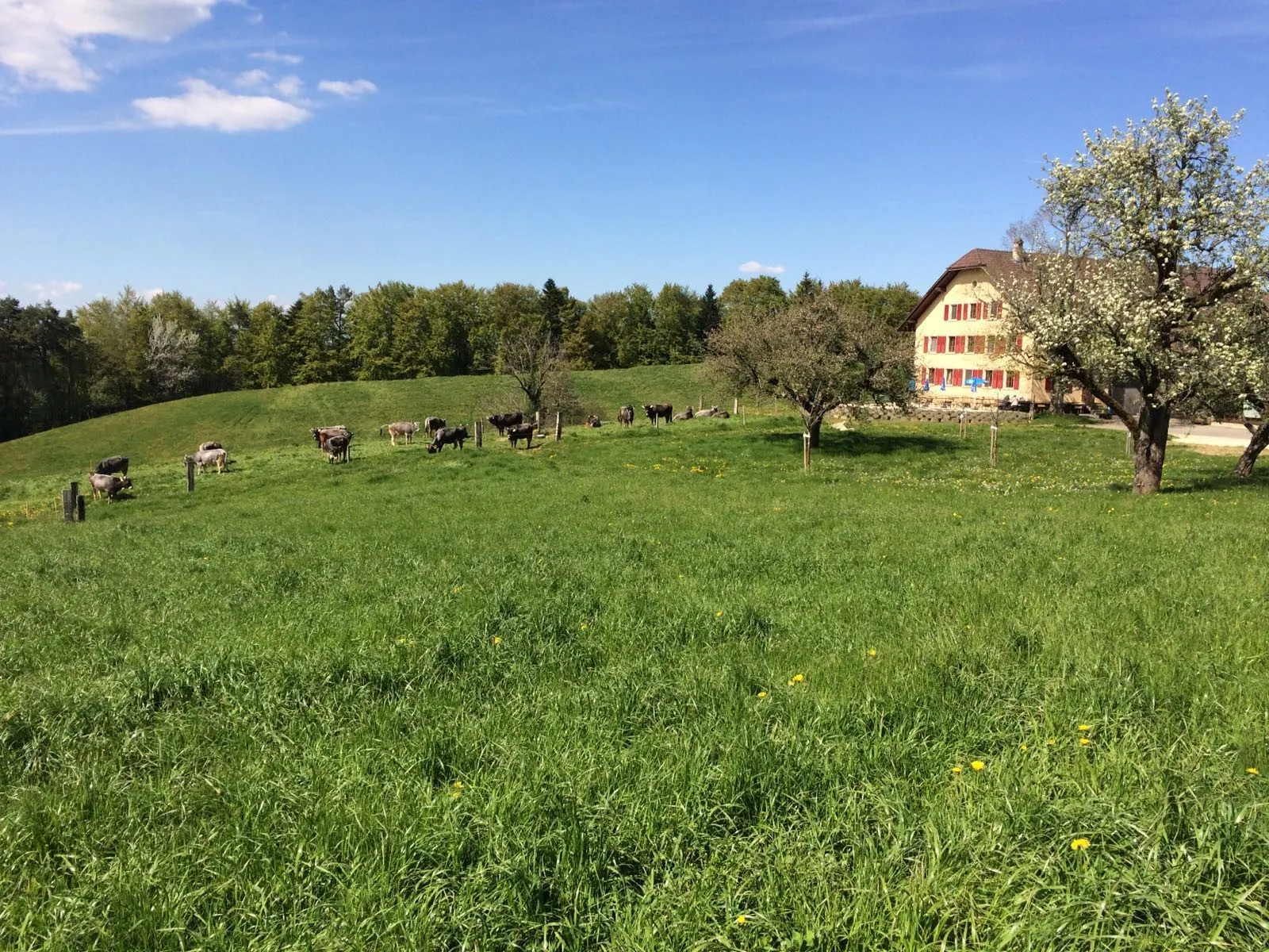 Ferme-Restaurant Pierreberg