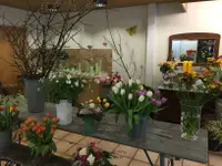 Blumen etc.