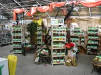 Rodigari Gartencenter