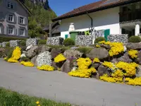 Winteler  GmbH Facility S plus