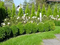 Rohner Gartenbau AG - Klicken Sie, um das Bild 3 in einer Lightbox vergrössert darzustellen