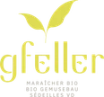 Gfeller maraîcher bio
