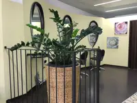 Coiffure Moda GmbH