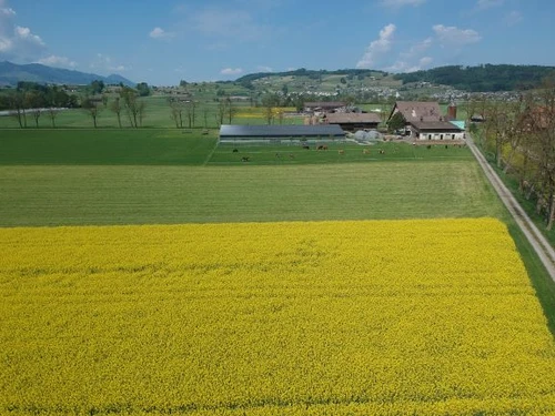 Schulers Hofladen - Klicken, um das Panorama Bild vergrössert darzustellen