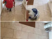 ARTE'S Impresa di pulizie