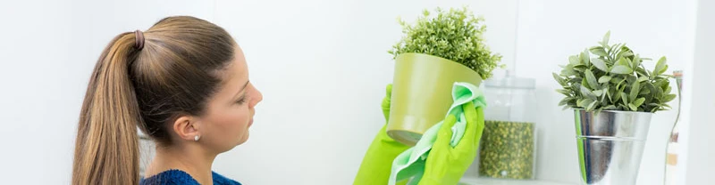 Reinigung - Service Cornelia Infanger