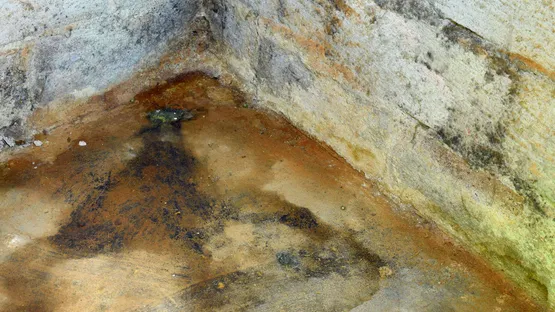 Feuchter Keller im Haus?