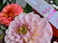 A la fleur de Lotus