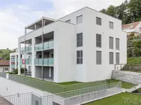 Immo-Treuhand AG