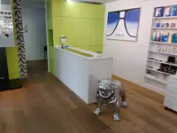 Rogenmoser Optik