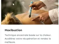 Yin Yang Acupuncture les 5 éléments Sàrl