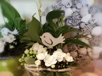 Blumen Vergissmeinnicht
