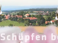 Gemeindeverwaltung Schüpfen