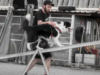 HDZ Hundezentrum - Klicken Sie, um das Bild 5 in einer Lightbox vergrössert darzustellen