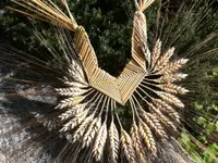 Fiore di Fiori