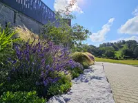 M. Hartmann Gartenbau AG - Klicken Sie, um das Bild 10 in einer Lightbox vergrössert darzustellen