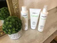 Salon Delavy