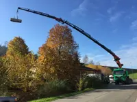 Dornbierer Transport AG