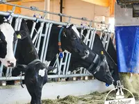 Producteurs suisses de lait PSL