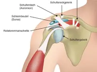 Physiotherapie Heiniger und Psychologische Körperarbeit - Klicken Sie, um das Bild 12 in einer Lightbox vergrössert darzustellen