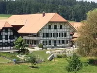 Malerei Roger Vuille GmbH