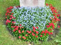 Friedhofgärtnerei Köniz - Klicken Sie, um das Bild 3 in einer Lightbox vergrössert darzustellen