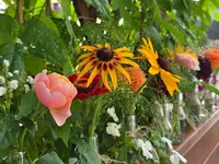 Aux Arcades fleurs