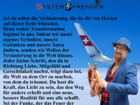 Systemsprenger Roger Zbinden