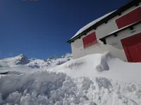 Cambrena