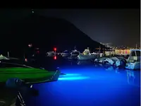 Boat Service Sagl