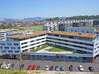 Zollinger Immobilien