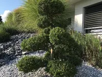 Gartenbau Miti