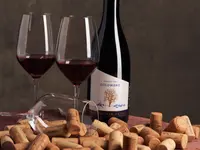Baumgartner Weinbau AG