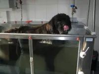 INDIKA-animalreha SA
