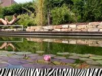 Zebra AG Garten & Pool – Cliquez pour agrandir l’image 2 dans une Lightbox