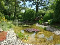 VITA VERDE AG