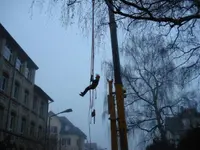Hatt Gartenbau