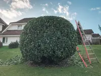 Klein Gartenbau - Klicken Sie, um das Bild 7 in einer Lightbox vergrössert darzustellen