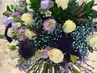 Blumen & Marroni Hajdari GmbH