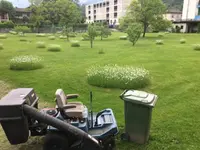 Biava Mattia - Giardiniere paesaggista